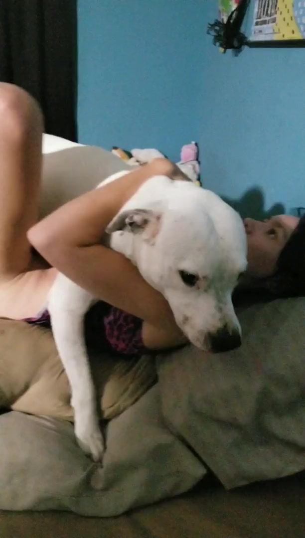 Dog Sex &raquo; Missionary sex with dog on bed 