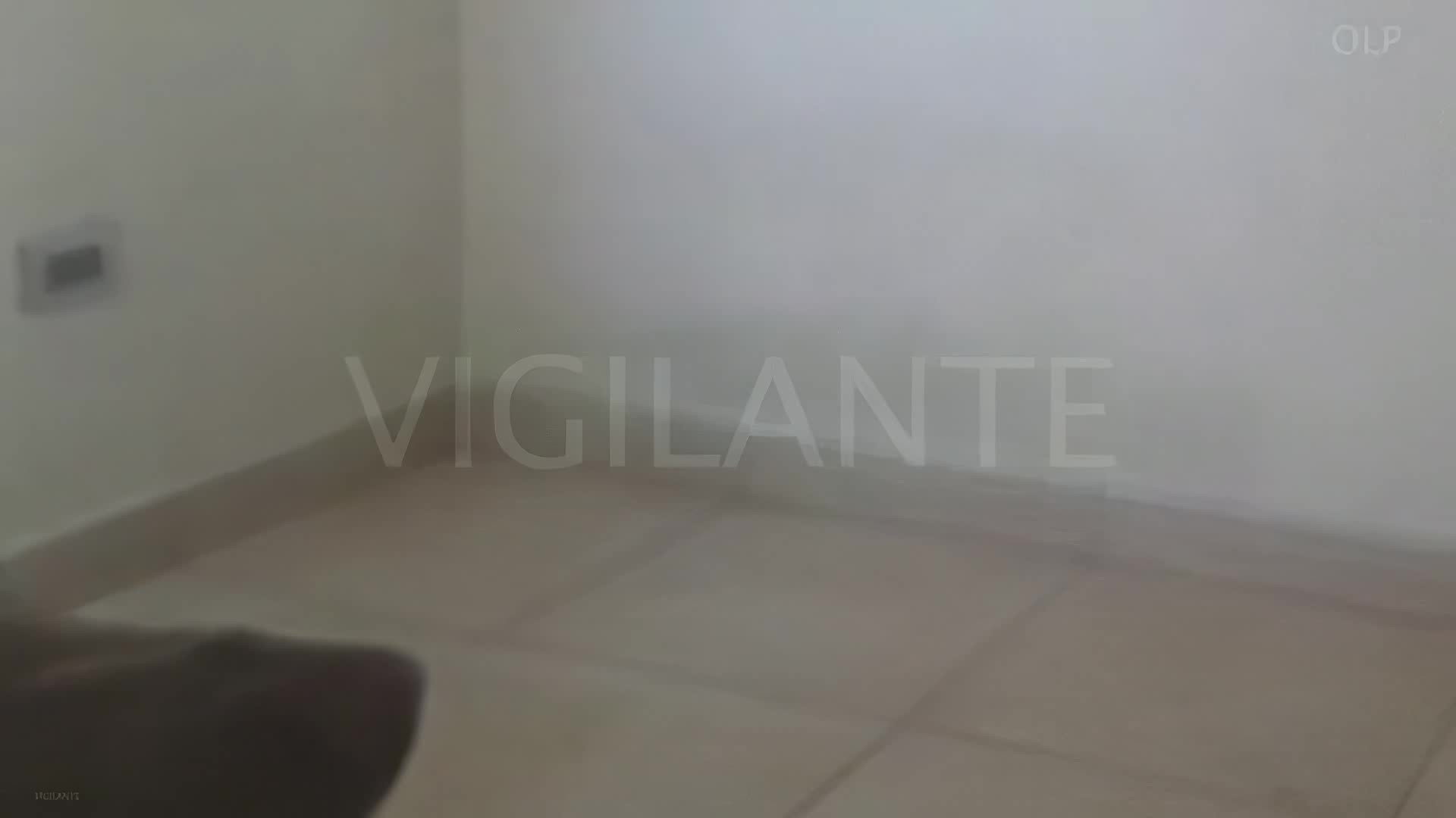 Dog Sex » 