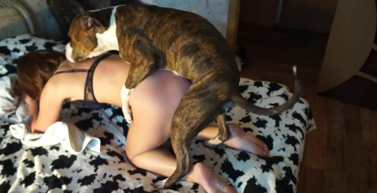 Dog Fucks Woman