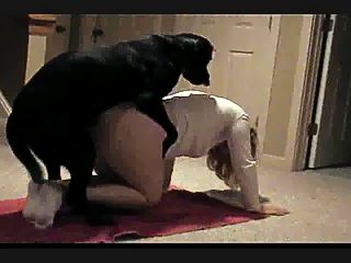Amateur animal porn at home with active dogs - compilation