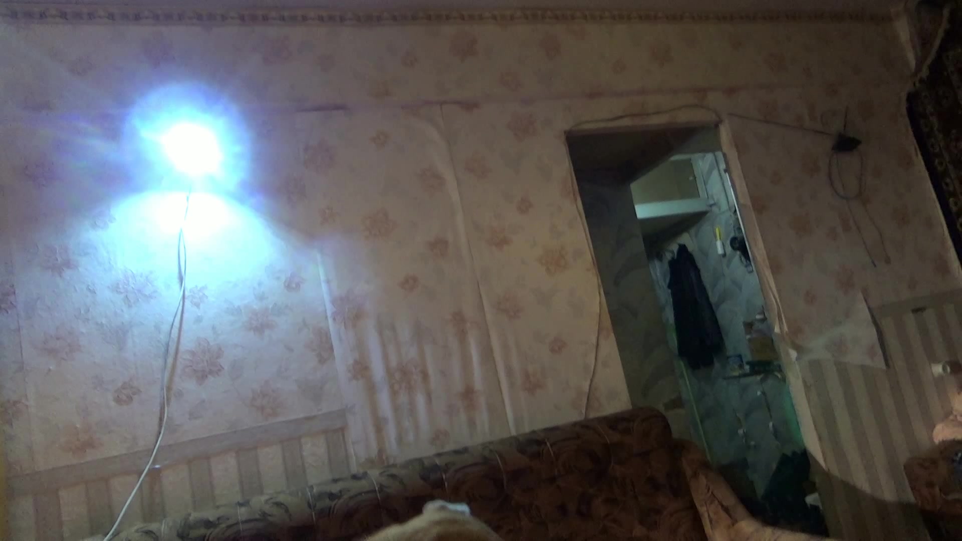 Dog Sex » Belarusian milf tries dog sex and screams in pain