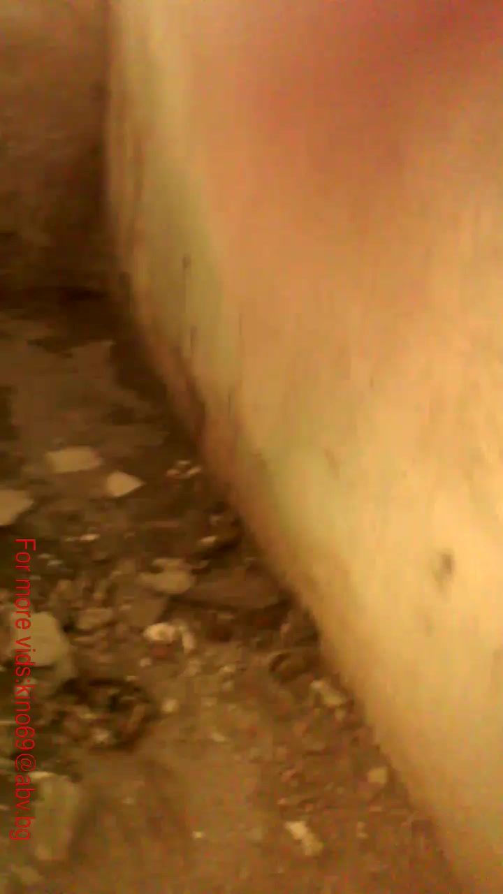 Dog Sex &raquo; Active dog fuck girl in abandoned building-> 