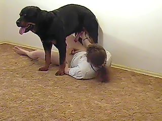 Dane handjob his dog and covers his pubis with dog's cum