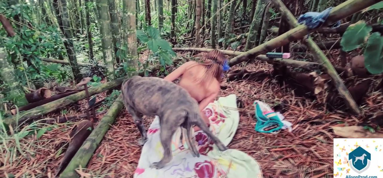 Dog Sex » 