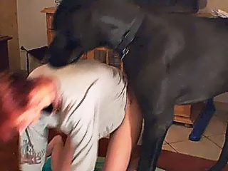 Porno con un perro y una pelirroja alemana que fue follada