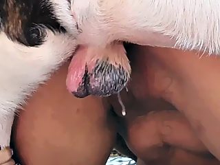 Hot dominican girls having orgy sex with 2 dogs