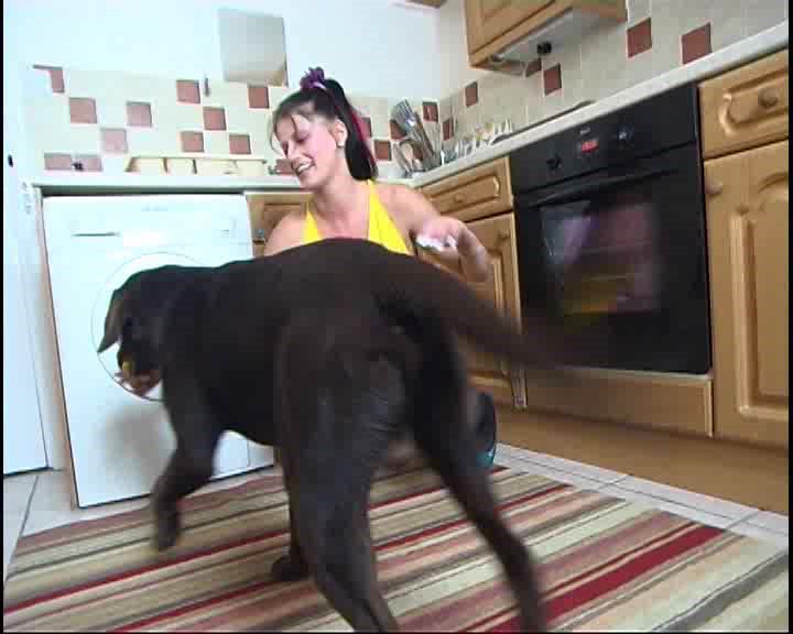 Dog Sex » Active dog fucks girl wearing a yellow shirt, she moans and come