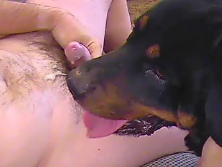 Gay have anal sex with his dog and rubs dick on dog dick