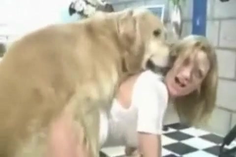 Dog Sex » Hotteste samling af hundesex i doggy-stil