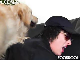 Compilation of dog sex to music. Music drowns out bitch screams