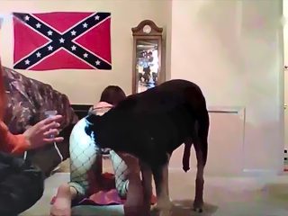 American story Z: dog sex for protest at Texas