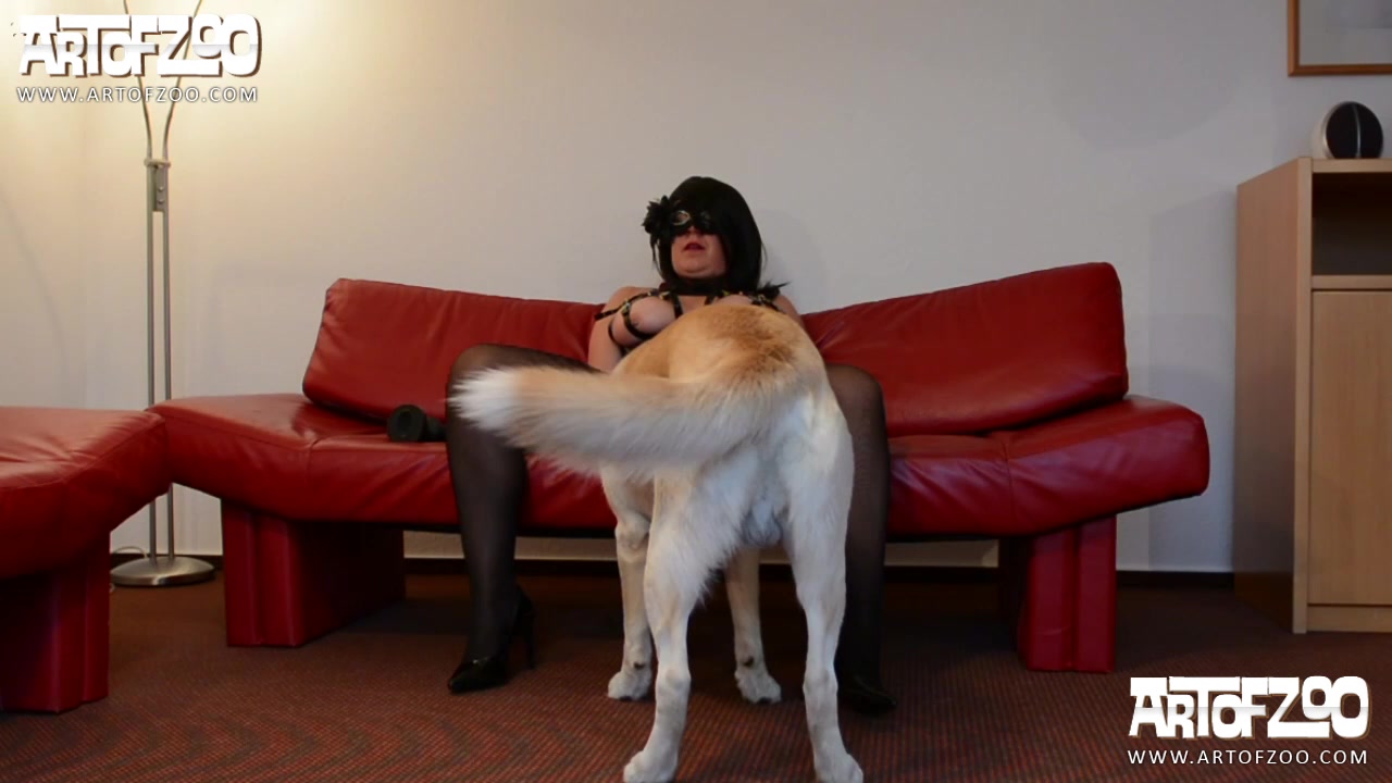 Dog Sex » 