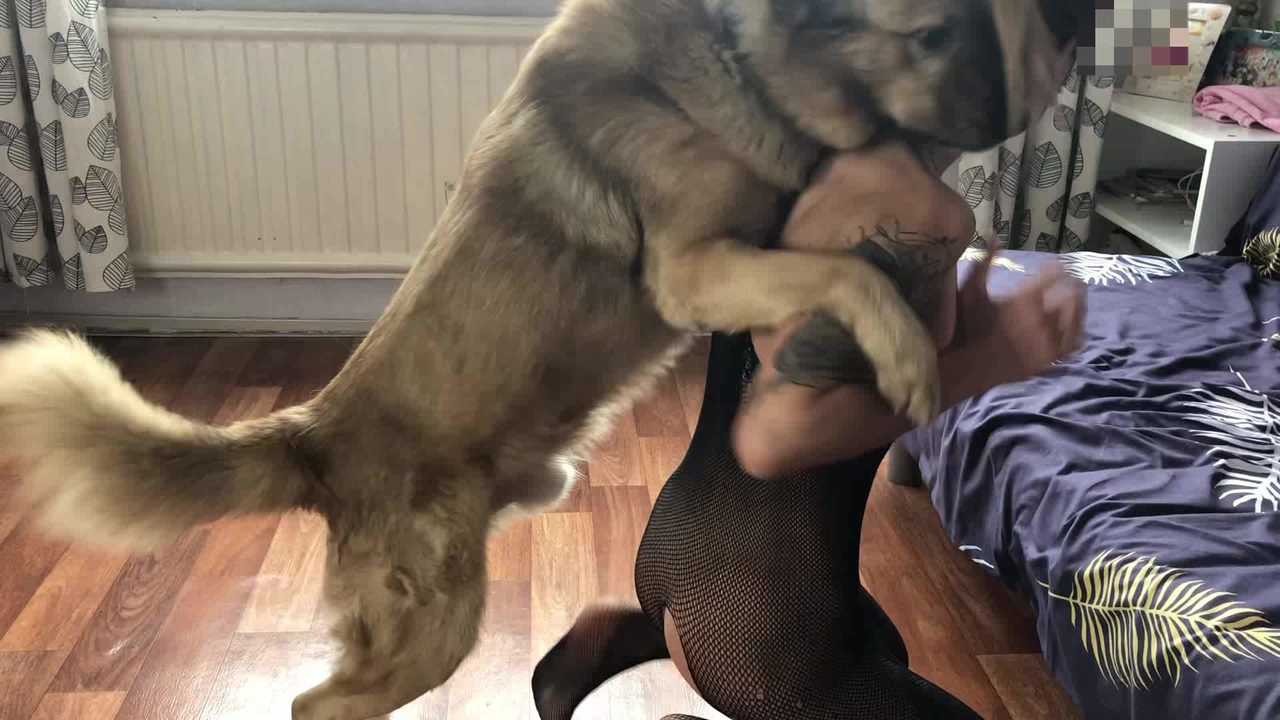 Dog Sex »